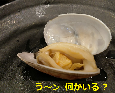 【 驚き  桃の木  あさりの蟹！🦀 】